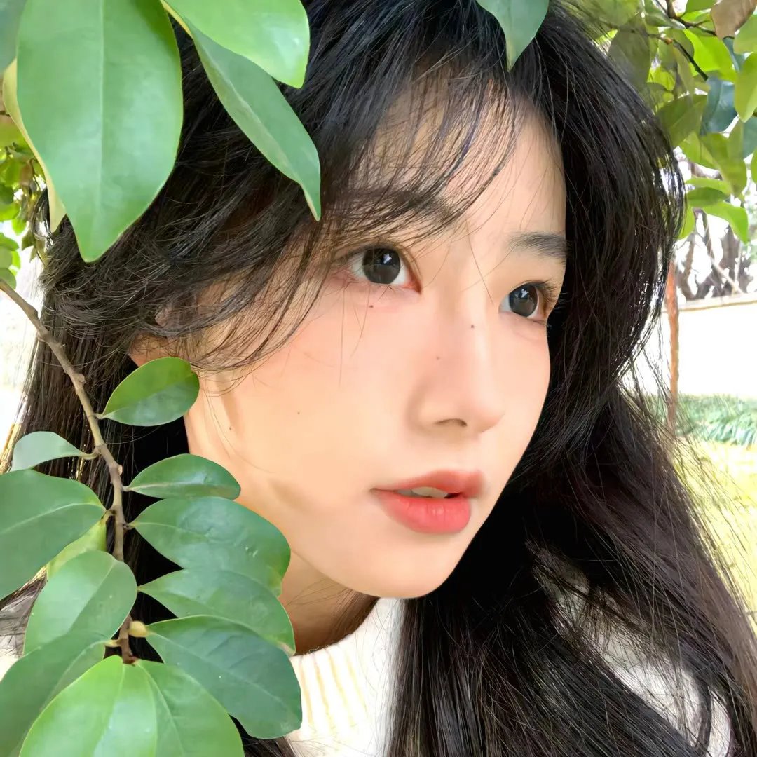 森之传说